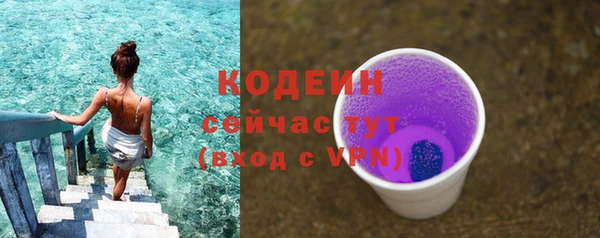 СК Волоколамск