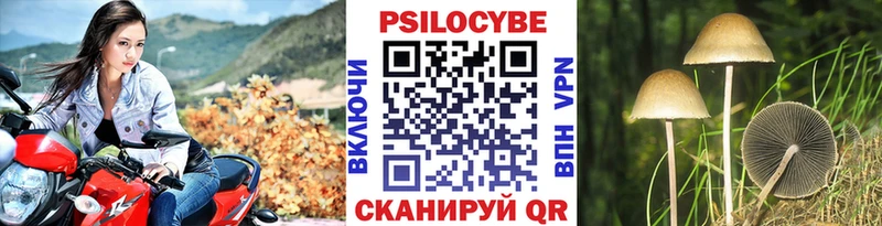 Галлюциногенные грибы Psilocybine cubensis  Королёв 